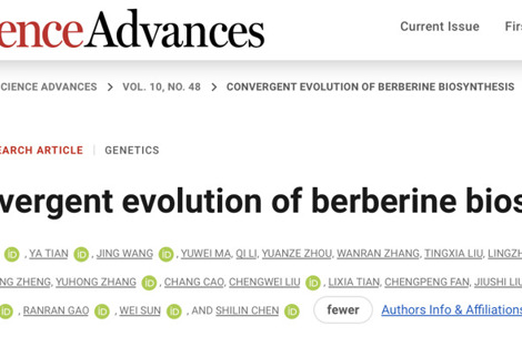 Science Advances | 关黄柏小檗碱生物合成趋同进化机制被解析