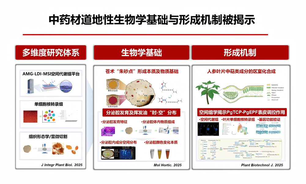 8ebe36af-0c9d-4024-8c80-7ac9afc005d5