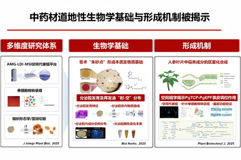 中国中医科学院中药研究所两项成果入选2025年度中医药十大学术进展