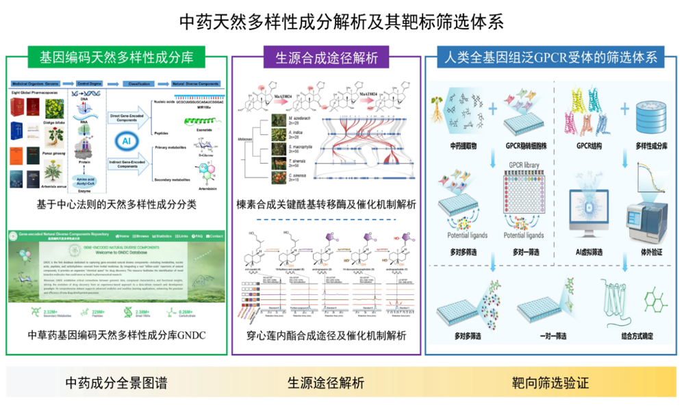 d486acca-7ad6-42e9-89a1-2e9835270935